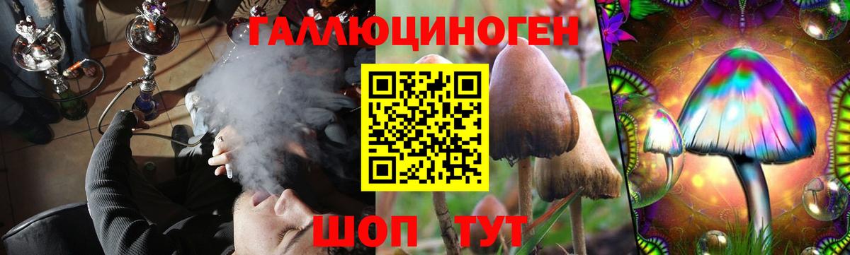 Псилоцибиновые грибы Psilocybe  Вход с VPN  Кимовск  Галлюциногенные грибы мицелий 